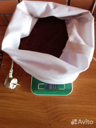 Чага березовая от сборщика