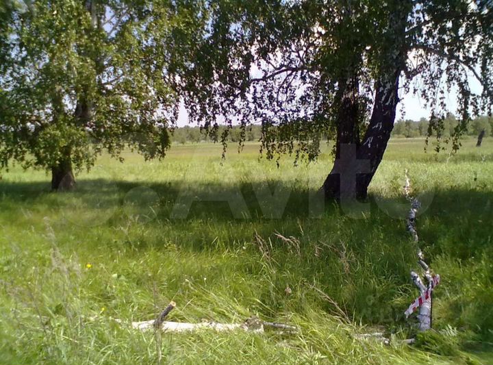 Участок 12 сот. (ИЖС)