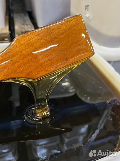 Оптом мед свежий разнотравье