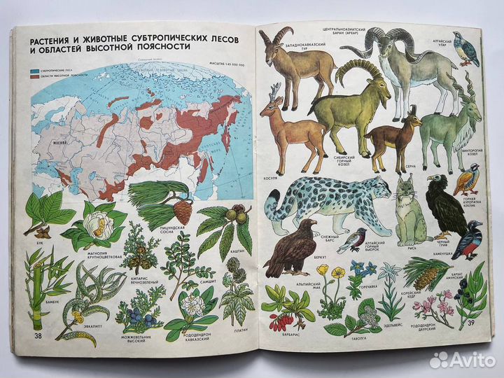 Мир и человек. Атлас для детей