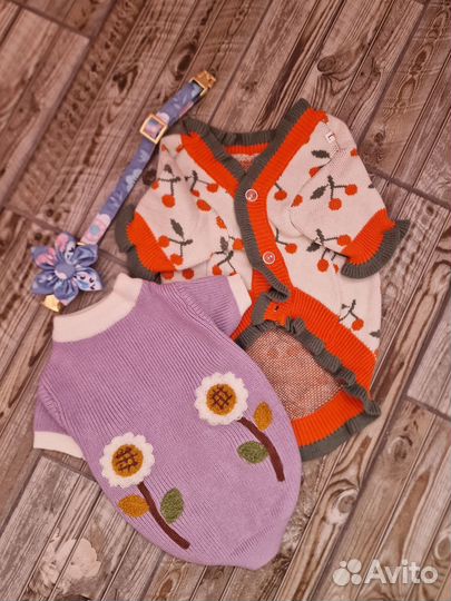 Одежда для маленьких собак