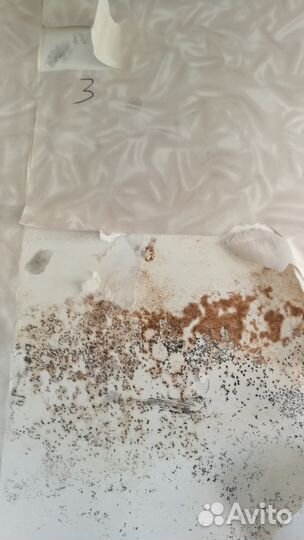 Удаление Плесени Грибка Экспертиза