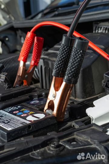 Автоэлектрик с выездом с 11 до 13095