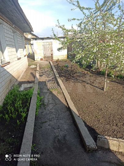 Дом 48,8 м² на участке 12 сот.