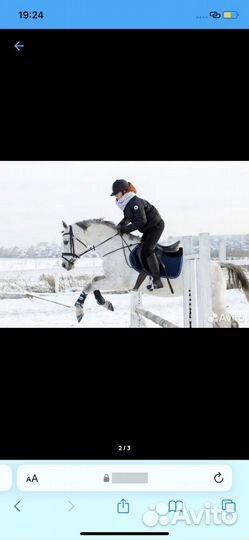 Конная амуниция