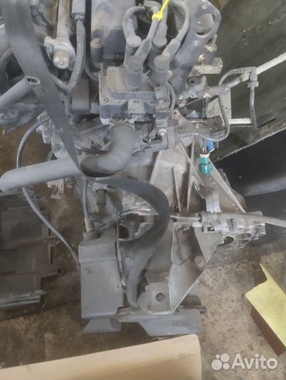 Двигатель форд фокус hwda. 1.6 100лс