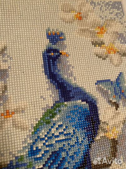 Картина из алмазной мозаики Павлин