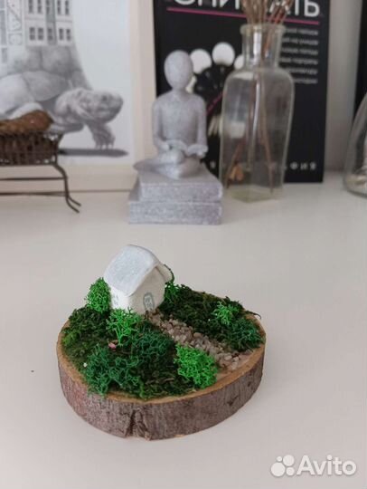 Картина из стабилизированного мха