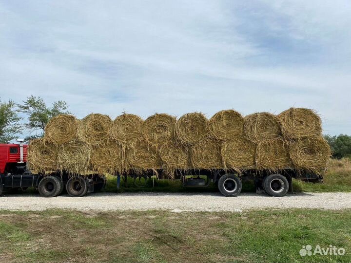 Сено люцерны в тюках