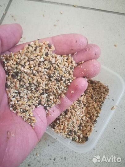 Зерноотходы