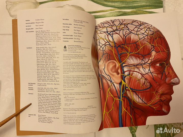 Anatomica’s body atlas