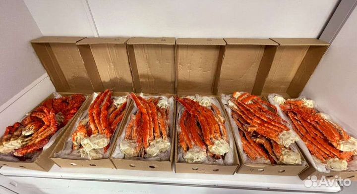 Клешни камчатского краба