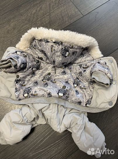 Одежда для собак