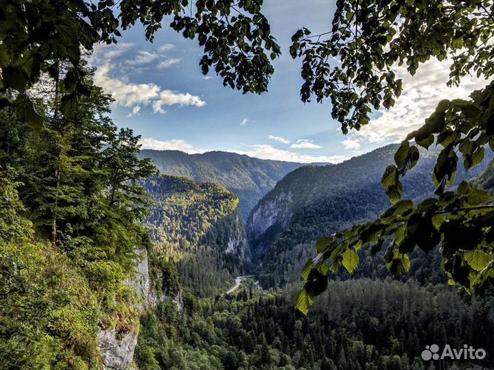 Экскурсия — Сухум — Джип-Тур К Озеру Рица И Гегско