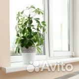 Пластиковые окна в квартиру