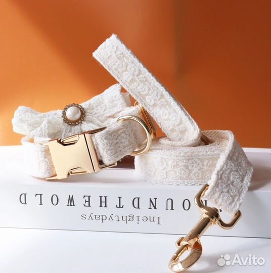 Ошейник и поводок с гравировкой для собак и кошек