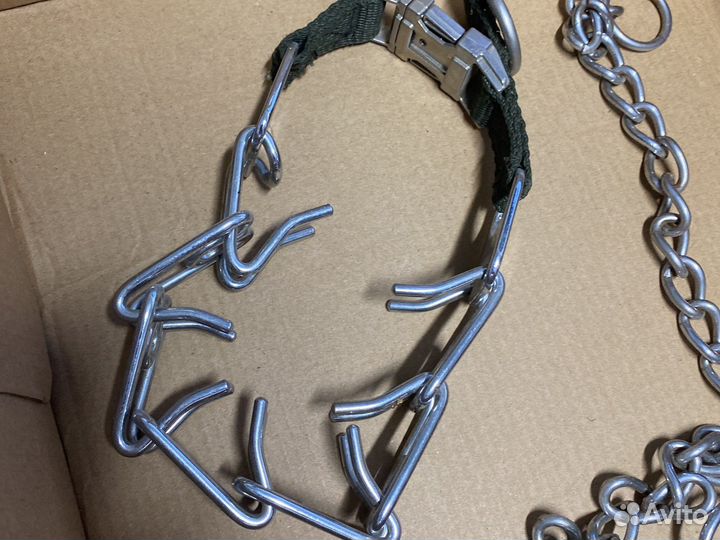 Строгий ошейник