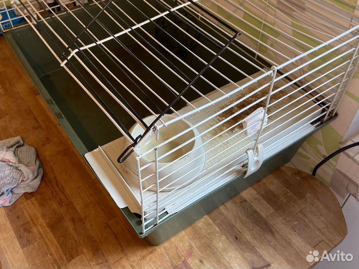 Клетка для морской свинки бу