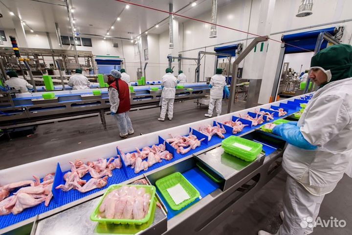 Упаковщик полуфабрикатов/птица. Вахта с питанием