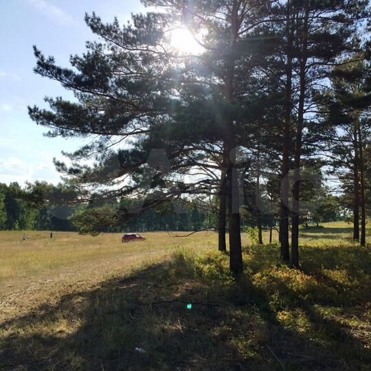 Участок 15 сот. (СНТ, ДНП)