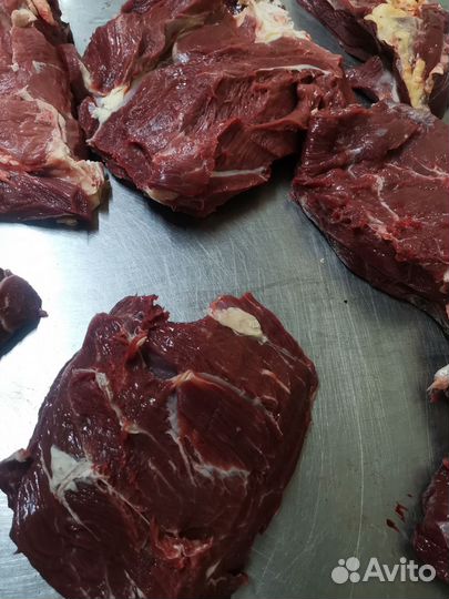 Продам мясо говядина, крупный кусок оптом