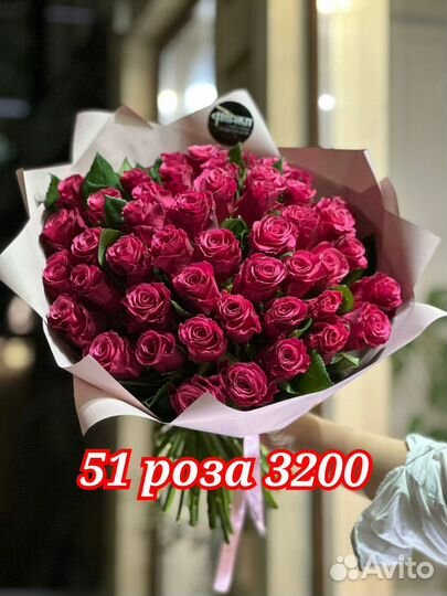 51 роза 3200