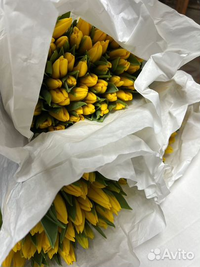 Тюльпаны к 8 марта оптом