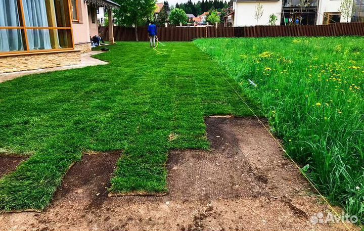 Рулонный газон с бесплатным замером