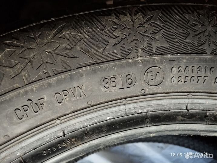 Continental Conti4x4WinterContact 205/55 R16