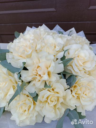 Французские белые розы