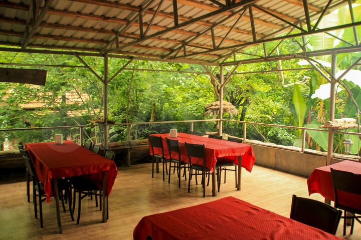 Общепит 3000 м² (Грузия)