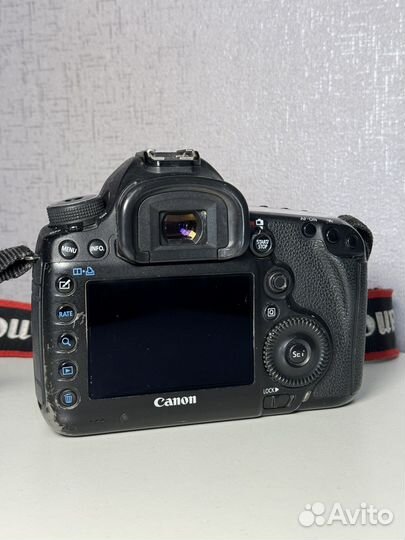 Canon EOS 5D Mark III + Canon EF 50mm f/1.4