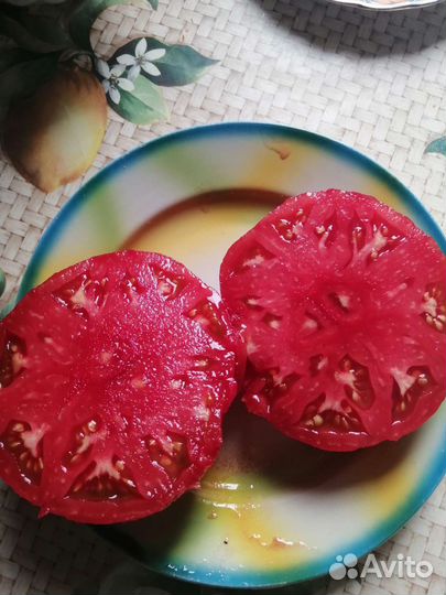 Семена помидор СССР