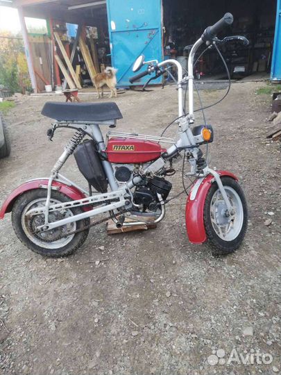 Продам зид-Птаха