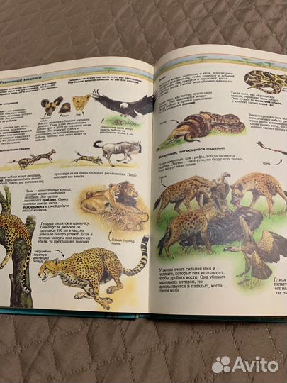 Детская энциклопедия, географический атлас