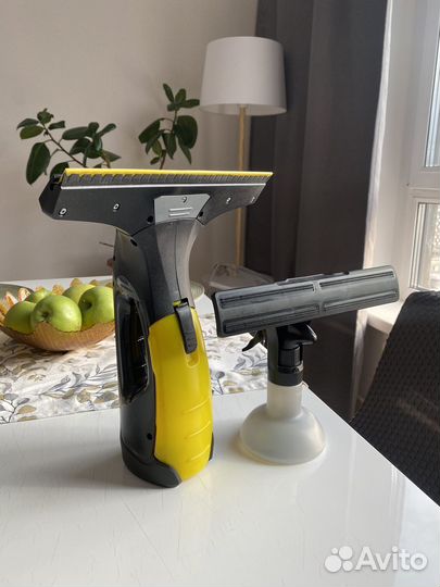 Karcher для мытья окон