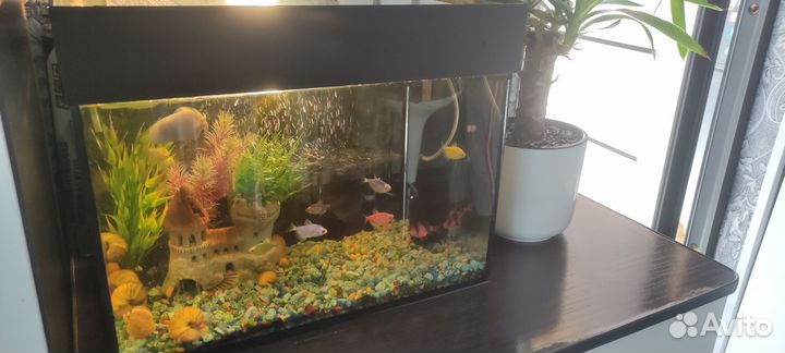 Аквариум