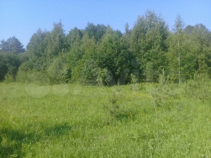 Участок 15 га (СНТ, ДНП)