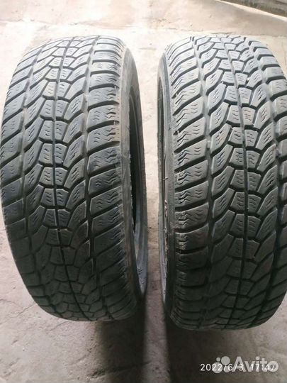 КАМА Кама-Nikola 195/65 R15