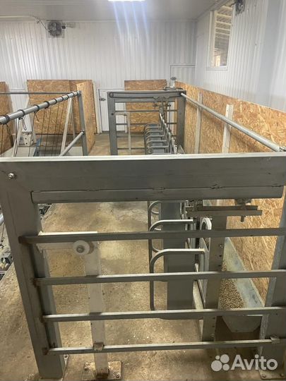 Доильный зал GAE 2Х12 (24) (Немецкое) с танкером 1