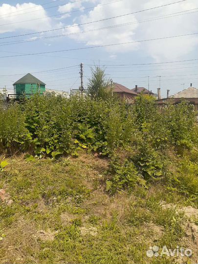 Покос травы триммером