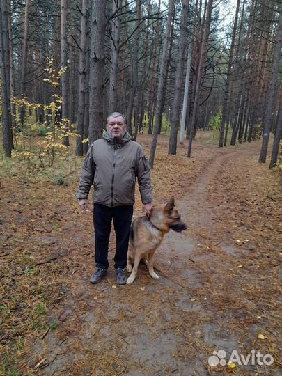 Механик по транспорту начальник транспортного