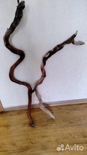 Коряги для аквариума