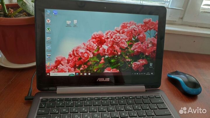 Asus netbook