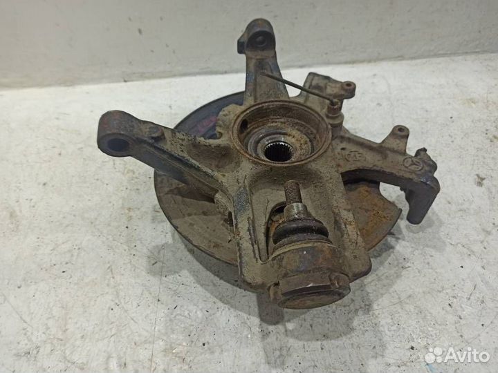 Кулак задний левый