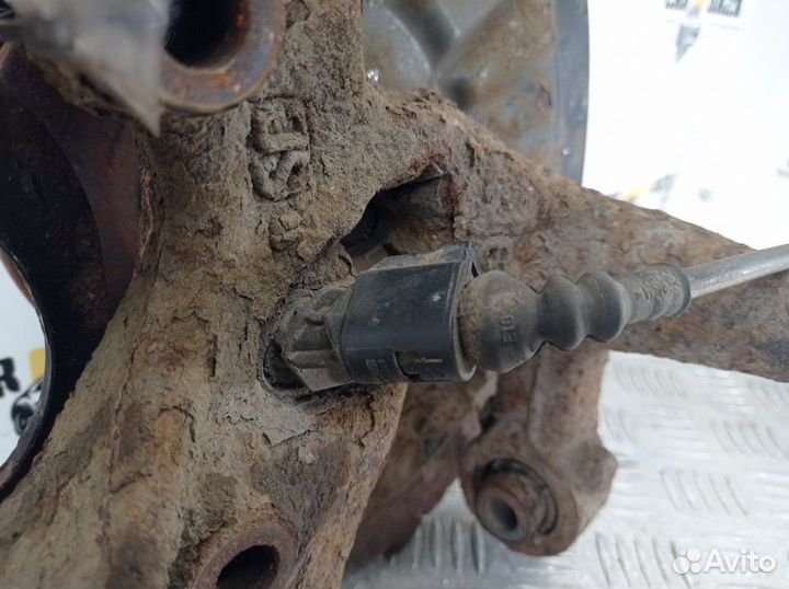 Кулак задний правый R