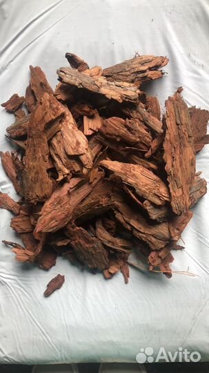 Кора лиственницы и сосны