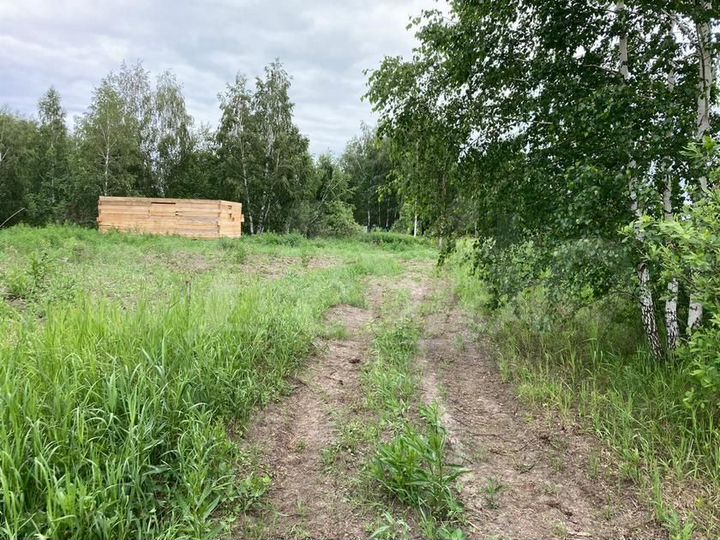 Участок 14,8 сот. (СНТ, ДНП)