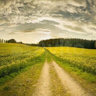 Участок 24 га (СНТ, ДНП)