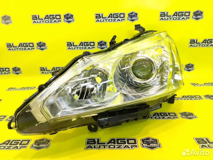 Фара Ксенон Левая Nissan Teana 3 J33 L33 2014-17г